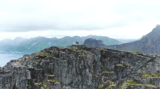 Aerial, orbit drone flight above Norwegian mountains, Barden mountain peak. 2 Hikers on the summit. Mountains and fjord in distance. Senja island in Norway. Beautiful landscape, wild nature.