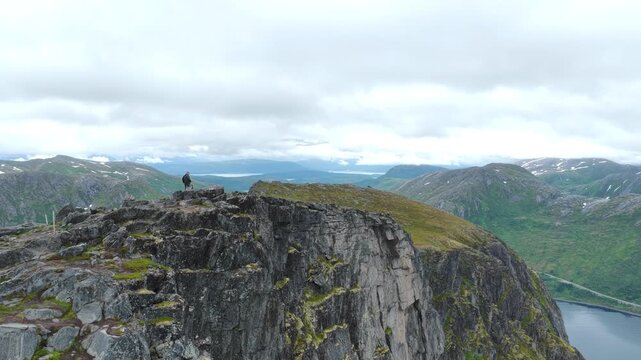 Aerial, orbit drone flight above Norwegian mountains, Barden mountain peak. 2 Hikers on the summit. Mountains and fjord in distance. Senja island in Norway. Beautiful landscape, wild nature.