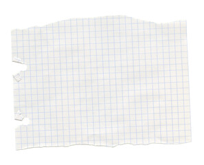 White grid checkered notebook journal paper piece. Blank math sheet of  paper. Realistic collage scrapbook texture background. © Alina Nikitaeva