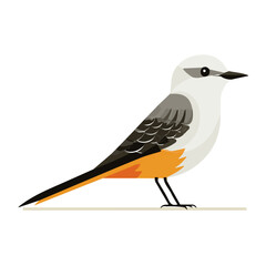 Obraz premium Modern flat 2D vector illustration of Scissor-tailed Flycatcher, clean and minimal design, isolated on white background.