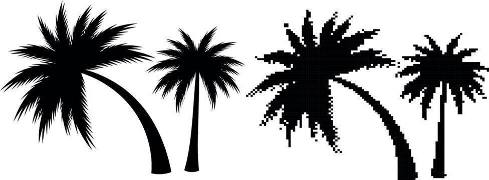Two silhouetted palm trees with curved trunks on transparent background
