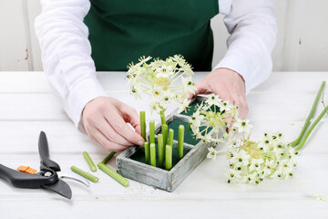 Florist at work: woman shows how to make Easter floral table decoration with arabian star flowers and gypsophila paniculata twigs in simple wooden box. Step by step, tutorial.