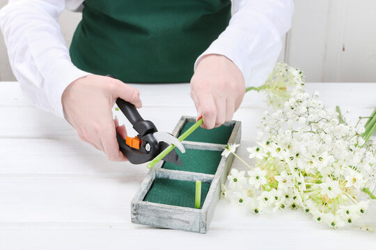Florist at work: woman shows how to make Easter floral table decoration with arabian star flowers and gypsophila paniculata twigs in simple wooden box. Step by step, tutorial.
