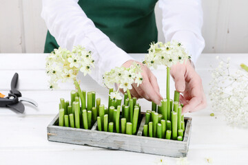 Florist at work: woman shows how to make Easter floral table decoration with arabian star flowers and gypsophila paniculata twigs in simple wooden box. Step by step, tutorial.