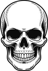Fototapeta premium Detailed human skull illustration with bold black and white line art style, anatomical and gothic design