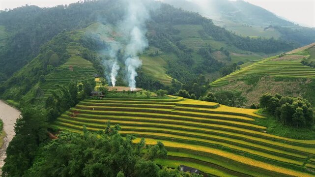 Breathtaking drone shot of golden rice terraces in Mu Cang Chai, Yen Bai, featuring traditional burning fields and rising smoke amidst misty mountains