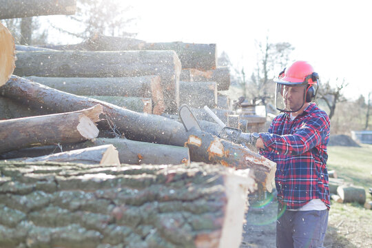Lumberjack cutting log with chainsaw during sunny day