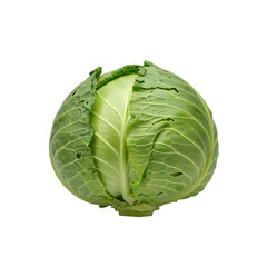 Obraz premium Fresh Green Cabbage Head Isolated on White Background, Whole Raw Organic Round Cabbage Vegetable for Healthy Cooking and Diet Nutrition Mockup PNG 