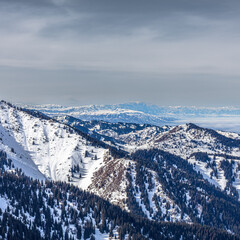 Fototapeta premium Landcsape, mountain. winter, city, trees, sport, alps, sking.