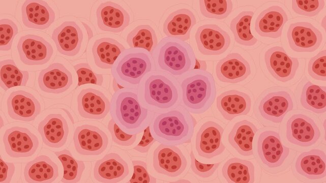 abnormal cancer cells transformation biology animation