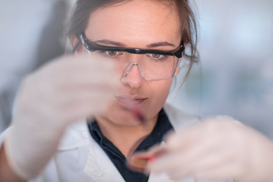 Scientist working in lab with a petri dish