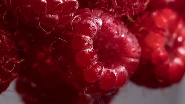 Smooth zoom-in macro footage of red raspberries submerged in water. Moist surface, visible drupelets, and soft highlights form a clean abstract food background with clear texture and depth.