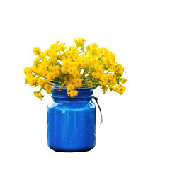 Yellow flowers bloom in a blue jar against black