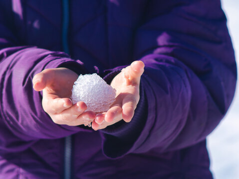 A close-up of a child's hands in a purple jacket holding a freshly made snowball. Captured during a sunny winter day at Normafa, Budapest. Concept of winter joy, play, and outdoor childhood fun.