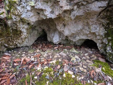 Ingresso di piccole grotte naturali in parete rocciosa, terreno con foglie e muschio, ambiente selvaggio, geologia, natura incontaminata, esplorazione outdoor