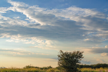 Obraz premium Paysage de Namibie au lever du jour