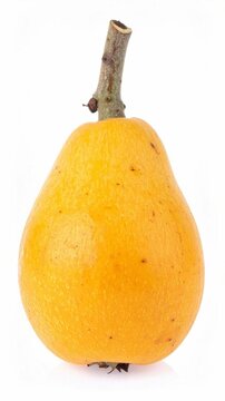 Loquat Exotic Yellow Fruit Isolated on White Background for Premium Tropical Food Object
