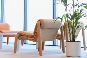 Modern office space with comfortable lounge chairs and a palm plant