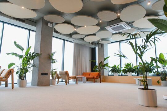 Modern lounge area with comfortable seating and green plants