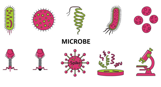 Collection of illustrated microbes including bacteria viruses and laboratory equipment
