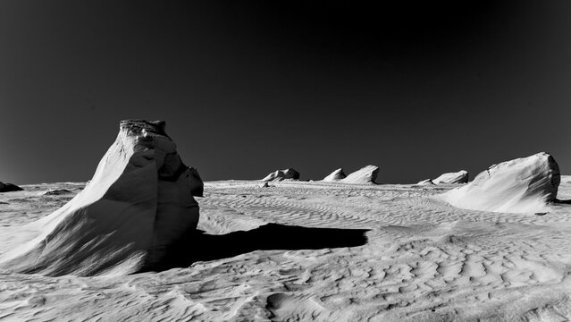 Paesaggi in bianco e nero. viste del deserto con dune e vegetazione tipica nella provincia di Tezeur, Tunisia. Nord Africa