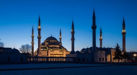 Obraz premium blue mosque at night