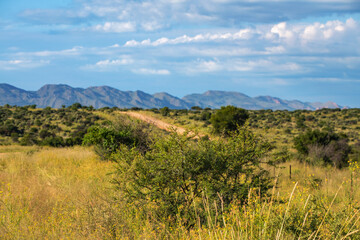 Paysage du centre de la Namibie