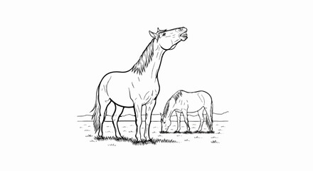 Fototapeta premium Two horses in a field, one grazing, one rearing its head