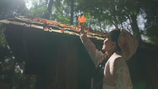Happy Asian Woman Holding Maple Leaf against Sunlight in Deep Forest with Tall Trees and Old Wooden Cabin, Autumn Atmosphere in Cold Weather, Cinematic 4K.