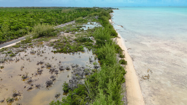 Aerial view of the coastline where vibrant green vegetation meets the turquoise water, creating a striking contrast of colors and textures, Eleuthera, Bahamas.