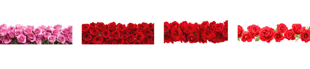 A vibrant red rose arrangement with a pink rose in the background.