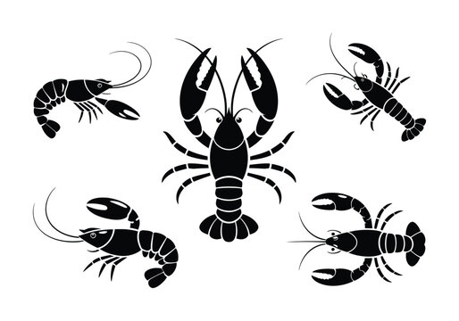 Collection of Black Lobster and Crayfish Silhouettes on White Background