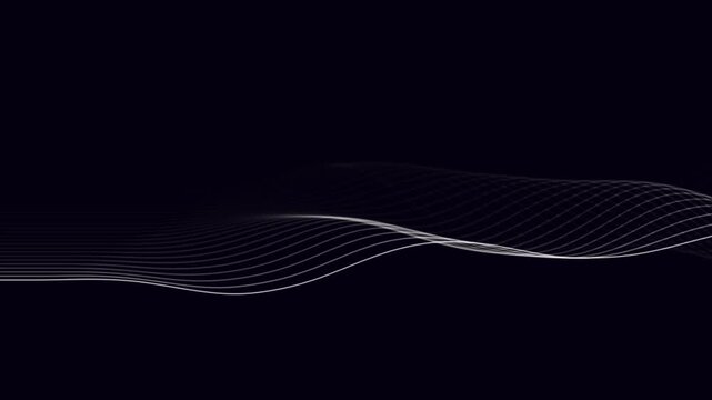 Monochrome Topographic Height Map Animation for Professional Geographical Surveys, 3D Terrain Design, and Geological Research Media Visuals