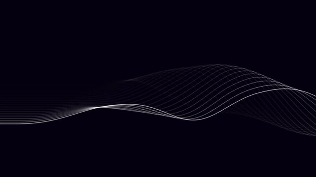 Abstract Topographic Contour Map Line Animation with Organic Fluid Motion and High Contrast Geographical Detail for Science and Design Projects