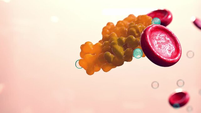 Fat cells and red blood cells, adipocyte and lipocyte, cholesterol in a cells, blocked vessel in high level of LDL (bad cholesterol) lipoprotein, risks of heart disease, metabolic syndrome