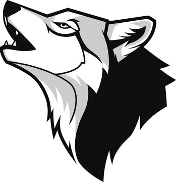 Aggressive wolf head illustration in black and white, roaring and showing teeth, a symbol of power and ferocity