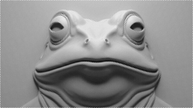 Halftone style close up frog face vector art detailed texture pattern black and white design animal wildlife illustration