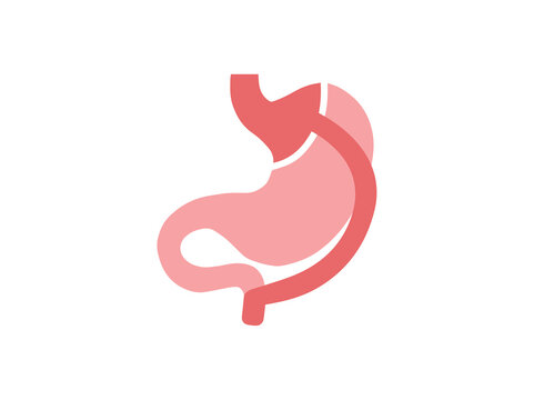 Roux en Y Gastric Bypass Surgery Illustration

