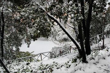 Winter mood. Trees covered by snow