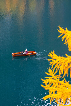 Aerial view of a wooden rowboat with two people on a calm, dark blue lake, with yellow larch branches in the foreground. Braies lake,Alto Adige,Dolomites,Italy