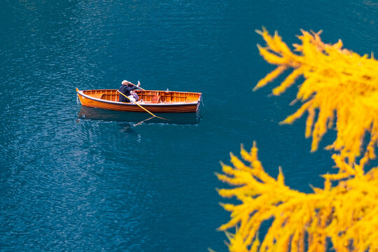 A person rows a wooden boat on a calm, blue lake, framed by a yellow tree branch. Braies lake,Alto Adige,Dolomites,Italy