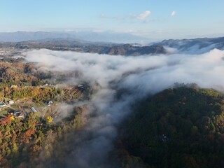Obraz premium The sky is cloudy and the mountains are in the background. The fog is thick and the trees are green