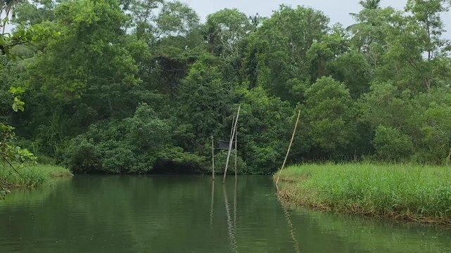 Lush Greenery Surrounding Calm Water in Kerala