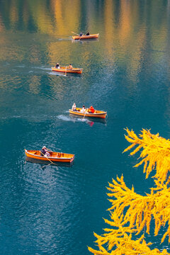 Four rowboats on a turquoise lake, with yellow autumn foliage in the foreground. Braies lake,Alto Adige,Dolomites,Italy