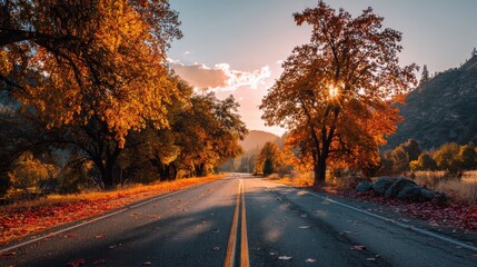 Fototapeta premium Asphalt Road Passing Through a Beautiful Autumn Forest at Golden Sunset