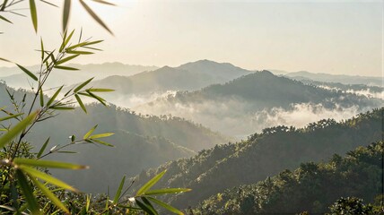 misty morning in the mountains