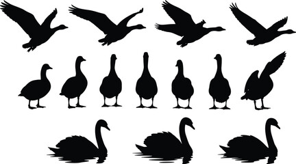 Silhouette illustration of birds flying standing swimming, geese ducks swans wildlife nature animal icon design concept for ornithology environment art, flat vector illustration © MD AMINUR
