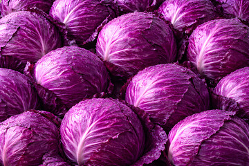 Vibrant Purple Cabbages with Water Droplets Background