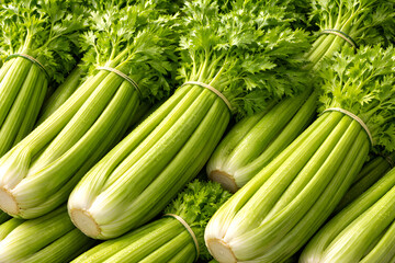 Freshly Harvested Celery Bunches Full Frame Background