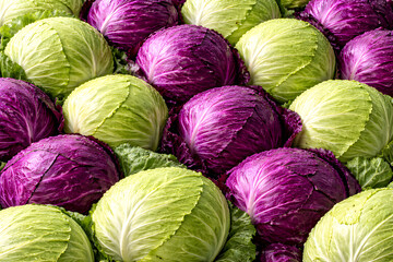 Vibrant Green and Purple Cabbages Full Frame Background